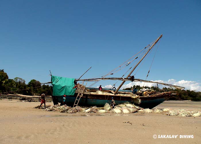 excursions et découvertes Nosy Be